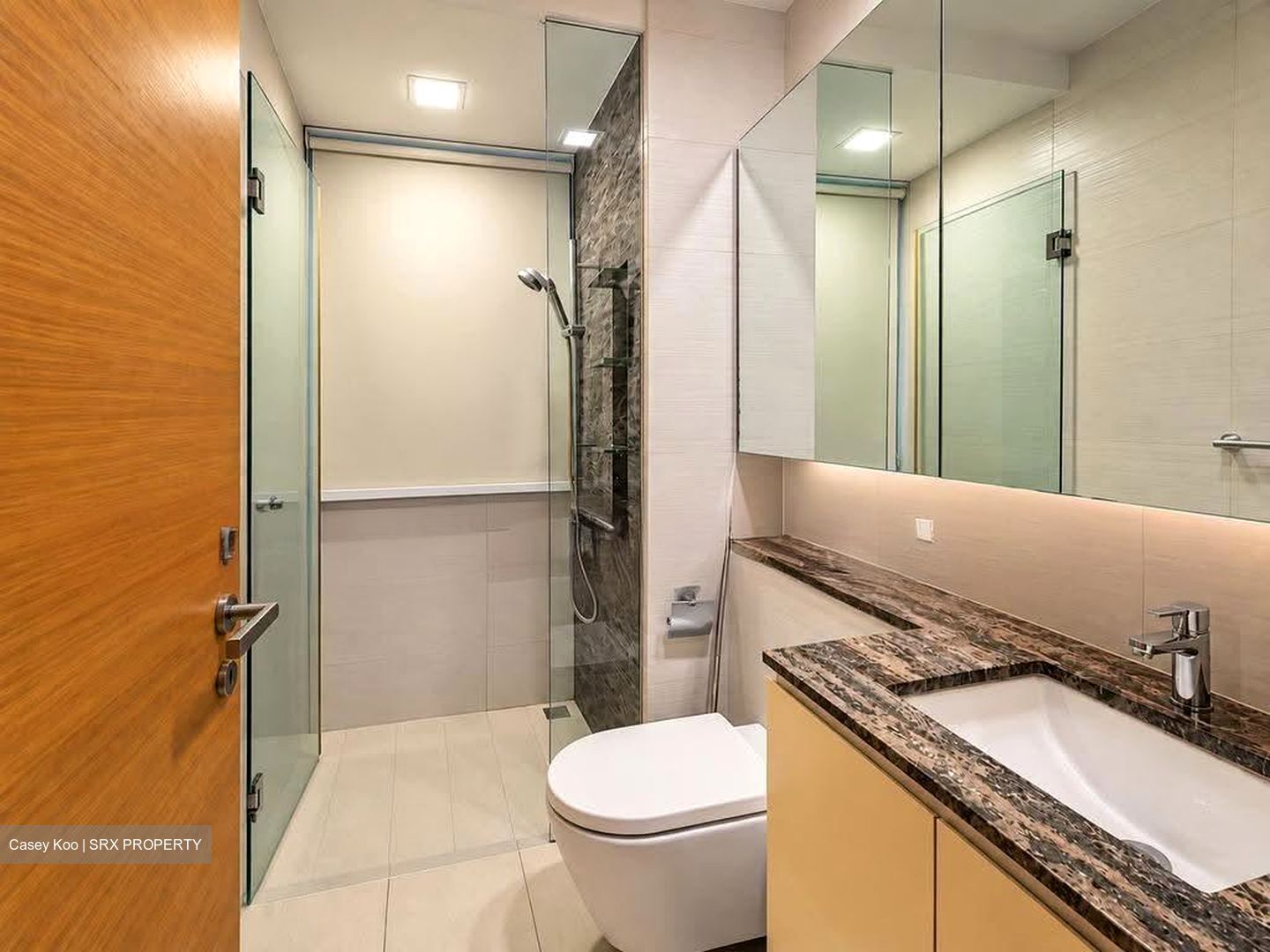 The Scala (D19), Apartment #636571371